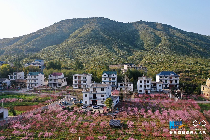 江西横峰:灿若云霞映乡村 桃源盛景入画来-新华网