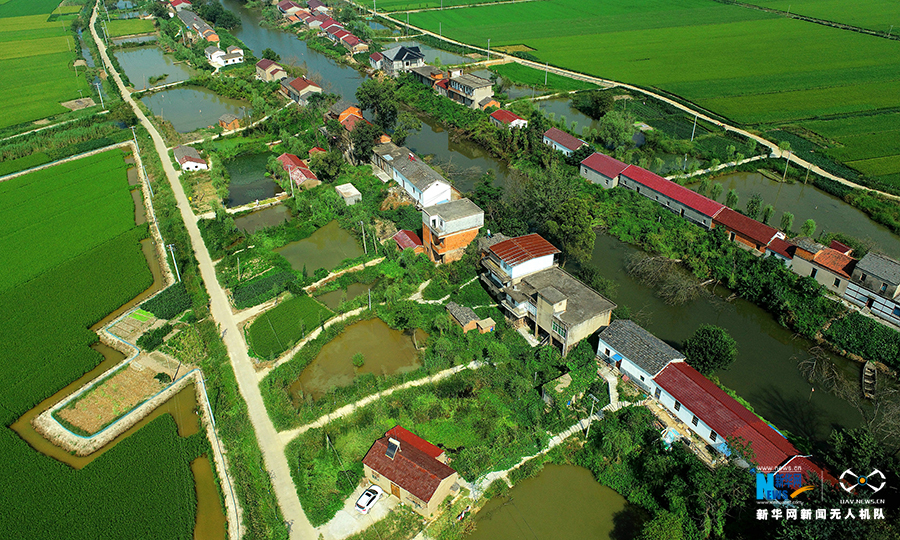 合肥市庐江县石头镇同心村,家家户户门口道路整齐.